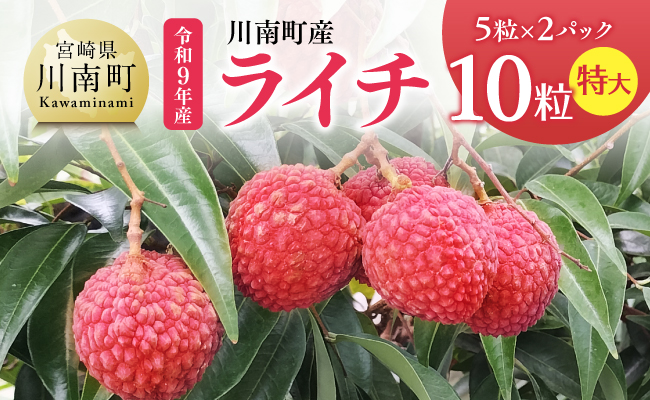 【令和9年産】川南町産ライチ10粒(5粒×2パック) 特大 【 国産ライチ フルーツ デザート 宮崎県産 】