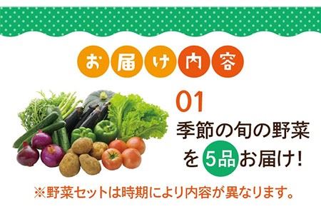 【全6回定期便】壱岐産米（つや姫）5kg・旬の野菜 5品 [JBO048] 米 お米 つや姫 野菜 やさい 旬 セット 詰め合わせ 72000 72000円  コダワリお米・野菜 こだわりお米・野菜 