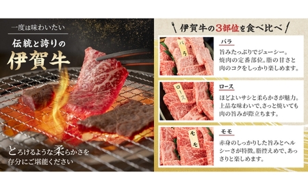 伊賀牛 定期便 6ヶ月 切落し ヒレ ステーキ 伊賀牛