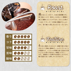 【中挽き】 訳あり コーヒー豆 1kg ( 500g × 2袋 ) ブラジル レッド カトゥアイ ( コーヒー 珈琲 コーヒー豆 出荷当日 自家焙煎 数量限定 スペシャルティコーヒー コーヒータイム 