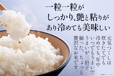 令和8年産 金のめし丸元気つくし精米５kg 元気つくし 福岡 お米 米 ごはん ご飯 お弁当 おにぎり 金のめし丸県産米 福岡ブランド米 めし丸 志免 志免町 福岡県