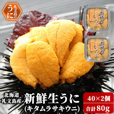 【ふるさと納税】北海道 礼文島産 新鮮生うに（ キタムラサキウニ ）40g×2個 ウニ 雲丹 魚貝類 80g 　お届け：2026年5月上旬～9月中旬まで