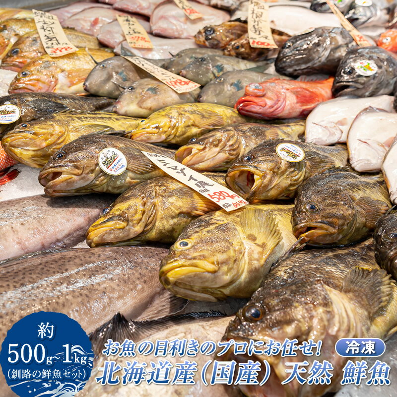 【ふるさと納税】お魚の目利きのプロにお任せ！北海道産（国産） 天然 鮮魚 約500g〜1kg（釧路の鮮魚セット）産地直送 冷凍 冷凍便 刺身 魚介類 魚 魚介 干物 切り身 冷凍 パック 詰め合わせ 北海道 釧路町 釧路超 特産品 br02