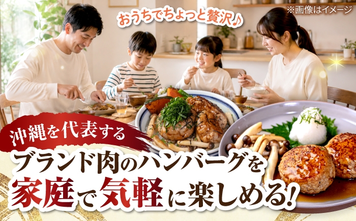 ハンバーグ あぐー豚ハンバーグ 個包装 沖縄産 あぐー豚 ハンバーグ はんばーぐ 国産 豚 はんばーぐ 冷凍 ギフト お取り寄せ