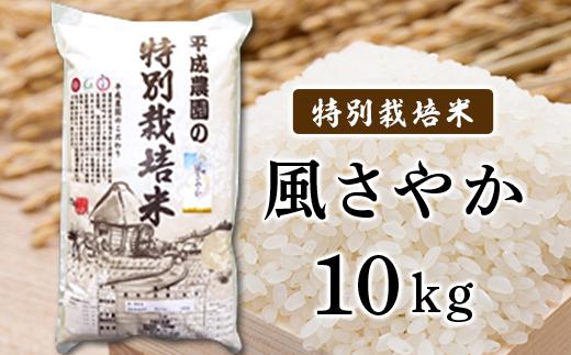 
            長野市産 風さやか 10kg 特別栽培米（平成農園）J0462
          
