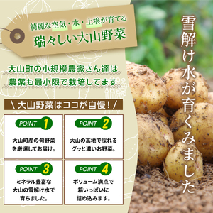 MS-01　新鮮朝採れ野菜　お手ごろセット