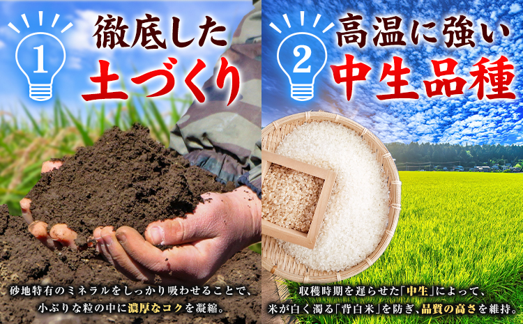 米 ヒノヒカリ 10kg JA徳島県脇町営農経済センター 《30日以内に出荷(土日祝除く)》ごはん こめ ご飯 徳島県 美馬市