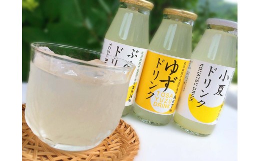 
                  柑橘ドリンク（3種類×各8本）
                