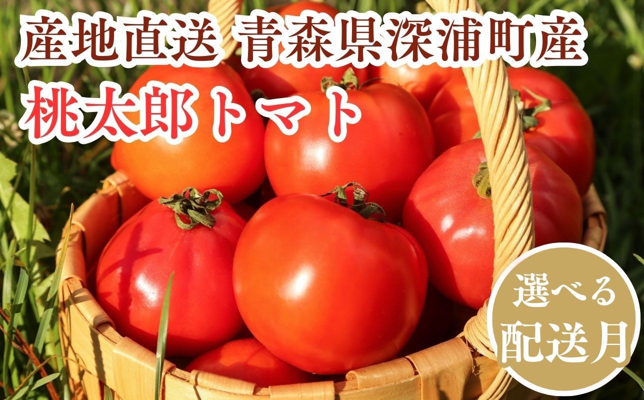 
                  【選べる配送月】青森県産 桃太郎 トマト 約4kg 20玉前後 
                