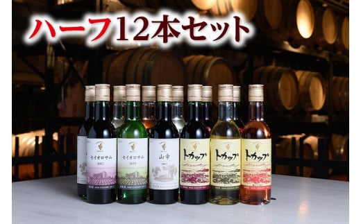 十勝ワイン ハーフボトル12本（赤・白・ロゼ）セット 360ml×12本 赤ワイン 白ワイン ロゼワイン セイオロサム 山幸 トカップ 飲み切り