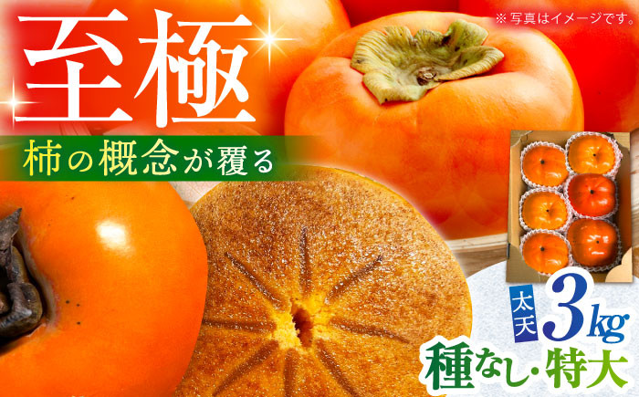 
            【11月〜12月上旬発送】種なし柿 太天・渋抜き柿　3kg【小林農園】 [HAX002] 柿 果物 フルーツ 佐賀県 江北町
          