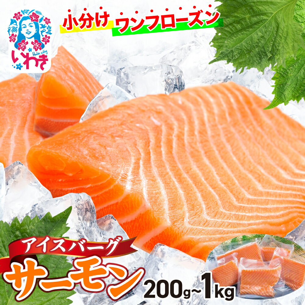 【ふるさと納税】サーモン 小分け 選べる容量 200g ～ 1kg 切り身 アイスバーグサーモン アトランティックサーモン 刺身 フィレ 個包装 冷凍 さけ サケ 生食サーモン 鮭 魚 海鮮 手巻き寿司 海鮮丼 人気 おすすめ ノルウェー産