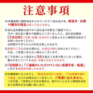 予約品※2026年7月～8月発送 フルーツのように甘い フルティカトマト 2kg 令和7年度産 ※予約商品※ 割れ保障付 数量限定 高評価 トマト 中玉 野菜 人気 新鮮 産地直送 甘い 高糖度 完熟
