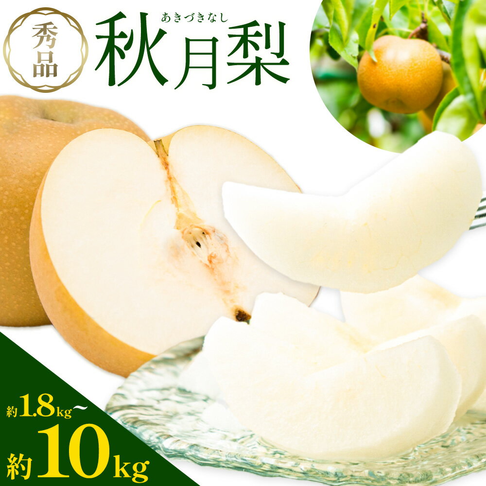 【ふるさと納税】梨 秀品 秋月梨 選べる内容量 約1.8kg 約5kg 約10kg 日本フルーツ《8月下旬-9月末頃出荷》熊本県 荒尾市 なし 梨 果物 フルーツ デザート ギフト ご贈答