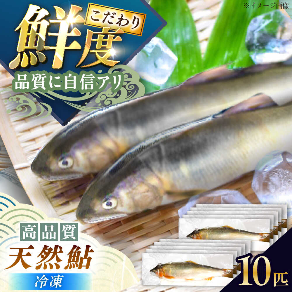 【ふるさと納税】＜冷凍＞清流 付知川の 天然あゆ 19〜22cm 10匹入り / あゆ 天然 鮎 天然鮎 冷凍 付知川 / 恵那市 / 恵那物産館[AUFS008]