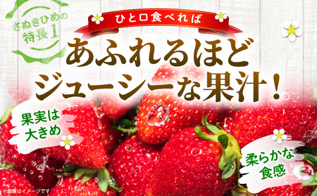 【年内発送】三木町地域いちご部会『さぬきひめ』　400g（化粧箱入）| スイーツ いちご ストロベリー イチゴ さぬき姫 さぬきひめ 苺 甘い 冷蔵 フルーツ 旬 果物 香川県 デザート 青果物 贈答