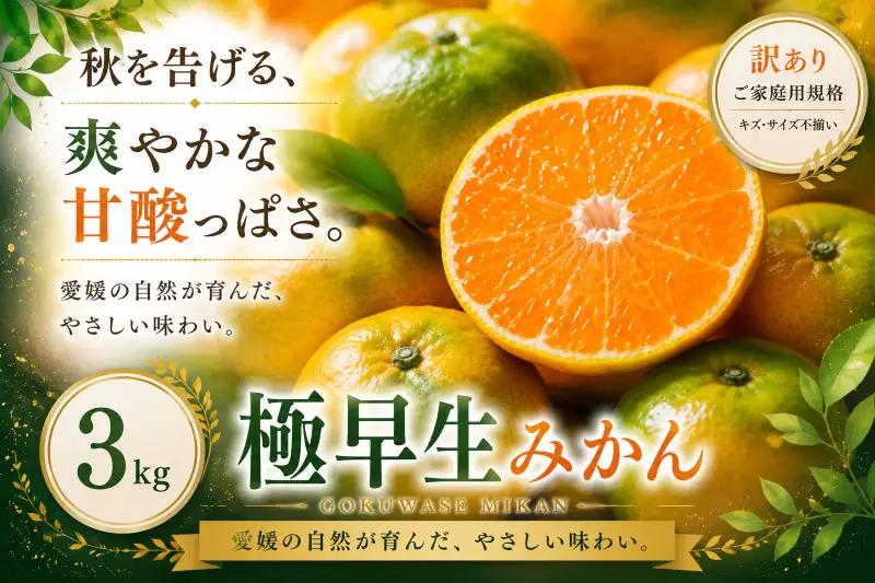 ＜訳あり 愛媛県産極早生みかん 合計約3kg＞『2026年9月下旬～11月上旬迄に順次出荷予定』ごくわせ ミカン 蜜柑 食感 甘い ご家庭用 果汁 果物 くだもの フルーツ オレンジ 柑橘 人気柑橘 特産品 株式会社OSN 愛媛県 西予市 【常温】OOS0061