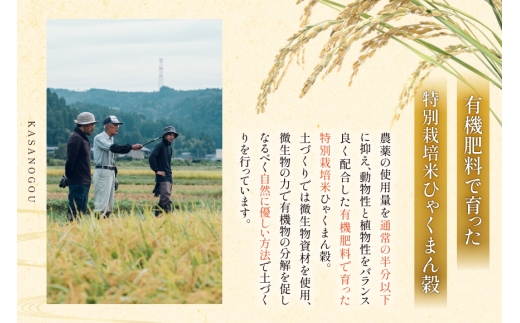 米 令和8年産 3回 定期 特別栽培米 ひゃくまん穀 5kg [ かさの郷 石川県津幡町 tb17bgj610008] お米 こめ 令和8年 ひゃくまんごく 5キロ おこめ ご飯 ごはん ゴハン 精米