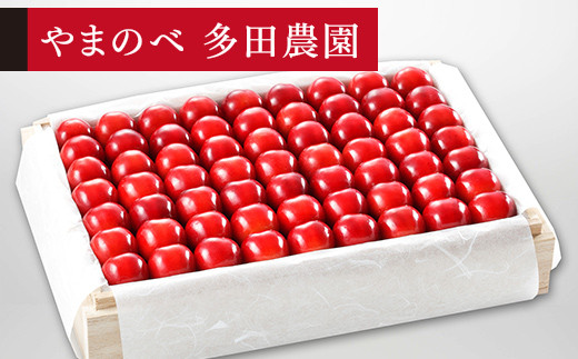 
            ≪2025年 先行予約≫さくらんぼ 特選紅秀峰 桐箱詰 約1100g「やまのべ多田農園」 F2Y-1399
          