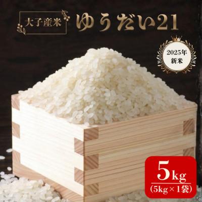 ふるさと納税 大子町 大子産米 ゆうだい21(精米)5kg茨城県 大子町 白米 令和7年産