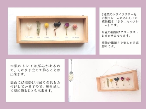 植物標本 ボタニカルフレーム フローリスト お任せ♪ ／ HANARA ナチュラル 自然 花 ギフト 母の日 女性 奈良県 宇陀市 誕生日 お祝い 敬老の日 感謝 結婚祝い 還暦 プロポーズ お供え 