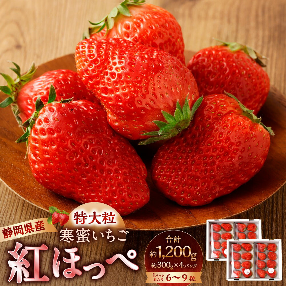 【ふるさと納税】〈選べる発送時期〉寒蜜いちご 紅ほっぺ 特大粒 計約 1200g 約300g×4パック 1パックあたり6～9粒 1.2kg いちご イチゴ 苺 果物 くだもの フルーツ 国産 静岡県産 静岡県 菊川市 送料無料【2025年12月下旬～2026年3月下旬発送予定】