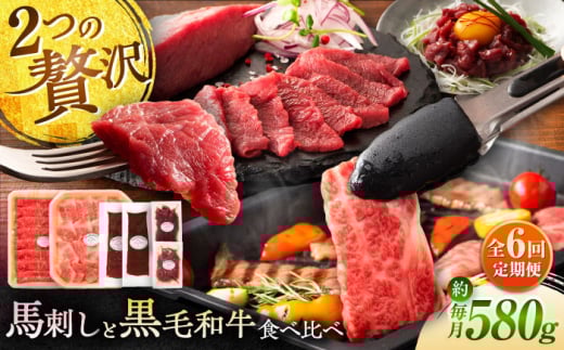 【全6回定期便】「熊本特産馬刺しとくまもと黒毛和牛」フジチクオリジナル贅沢食べ比べセット 3905 / 菊陽町 熊本県 くまもと ばさし ぎゅう 肉 ゆっけ スライス ユッケ 生姜 バラ ご褒美 祝い【株式会社フジチク】 [BHAD052]