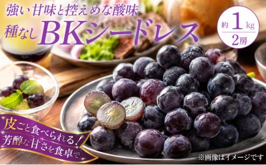 ぶどう BKシードレス 種なし 計約1kg 2房 フルーツ グレープ デザート あま～い あまい 甘い ジューシー 果汁 たっぷり ベリー 巨峰 果肉 柔らか みずみずしい アレンジ スイーツ フローズン ジャム ジェラート 渋さ知らズ 子どもも食べやすい 宮城県 岩沼産