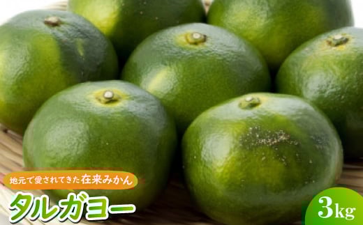 ＜2025年10月頃から順次発送＞地元で愛されてきた在来みかん タルガヨー3kg【1618428】