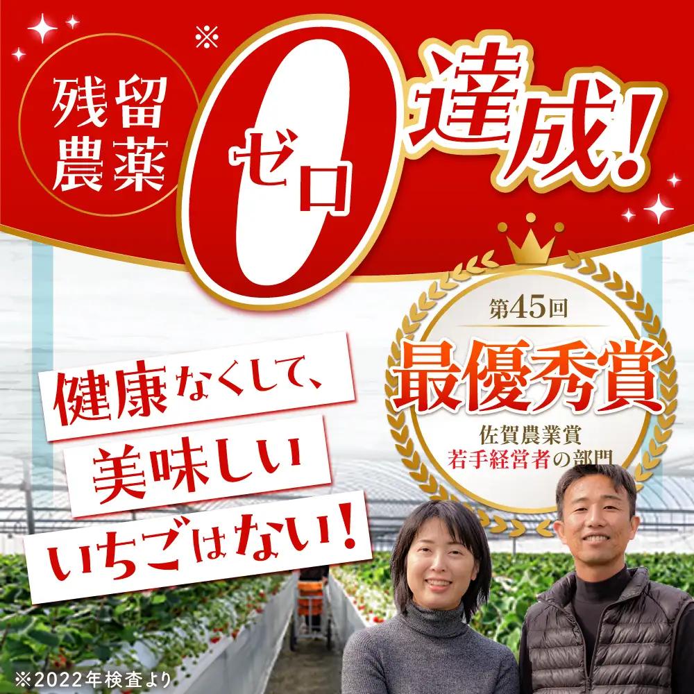 【先行予約】【1?2月発送】王様のいちごさがほのか400g×2箱 HAF010 いちご フルーツ 果物