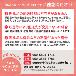 《先行予約》訳あり 旬のりんご詰合せ約10kg（サンふじ確約3種以上）【2024年12月上旬頃～発送予定】【大江町産・山形りんご・りんご専科 清野哲生】 015-053