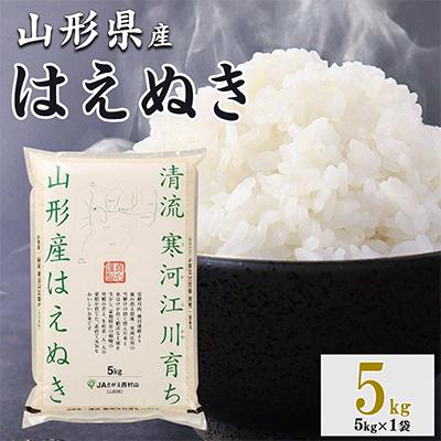 ふるさと納税 寒河江市 新米【令和8年産】清流寒河江川育ち 山形産はえぬき　5kg×1袋