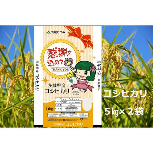 【ふるさと納税】【令和7年産】茨城県産コシヒカリ10kg（5kg×2袋）精米 JA茨城むつみ ／ こしひかり 令和7年 新米 米 お米 おこめ こめ コメ 精米 白米 ご飯 国産米 10kg 10キロ おいしい お取り寄せ 産地直送 産直 坂東市産 茨城県産 茨城産 送料無料 茨城県 No.179