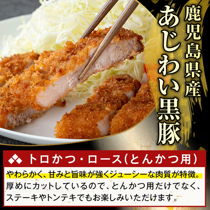 K-373-A かごしま味わい黒豚 とんかつ用ロース肉・トロかつ(計600g)【KNOT】霧島市 ロース トンカツ 豚カツ トンテキ 豚肉 国産 鹿児島県産 肉 精肉 小分け