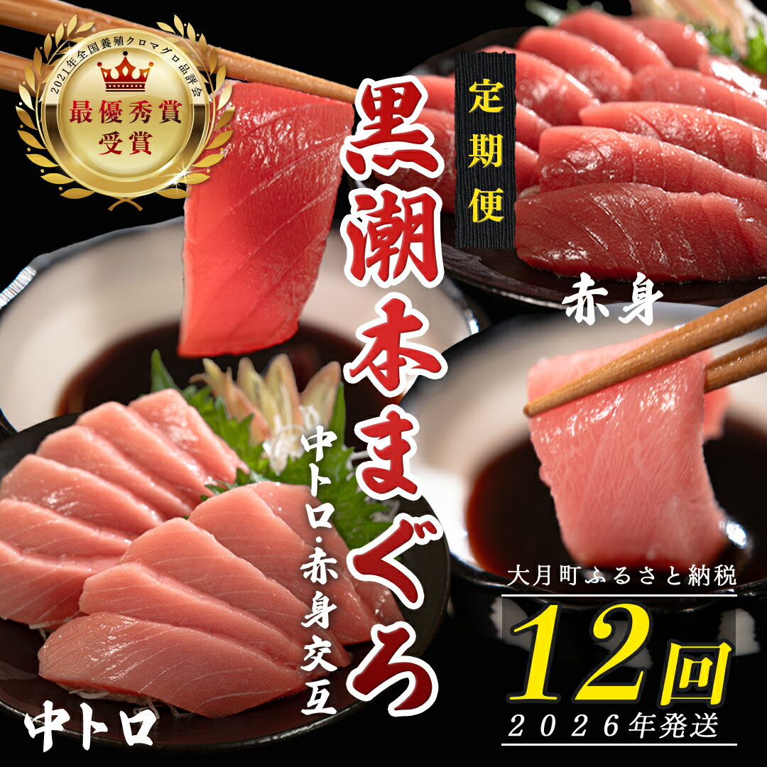 【ふるさと納税】【定期便 12回】日本一!黒潮本まぐろ 中トロ・赤身（交互）