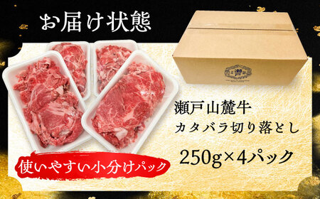 瀬戸山麓牛カタバラ切落し1kg（250g×4P）/ 牛肉 国産 冷凍 小分け / 瀬戸市 / 関屋精肉店 [BBBQ025]