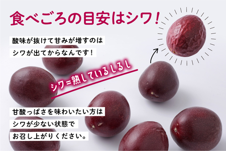 《先行予約 令和7年産》 種子島産パッションフルーツ 2ケース ( 24個入り ) パッションフルーツ 果物 フルーツ 食品 グルメ お取り寄せ お中元 人気 おすすめ 返礼品 南種子町 鹿児島 かご