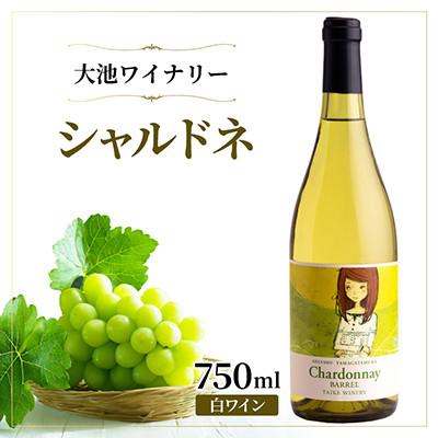 ふるさと納税 山形村 【樽発酵の奥深い味わい】大池ワイン シャルドネ 白ワイン 750ml