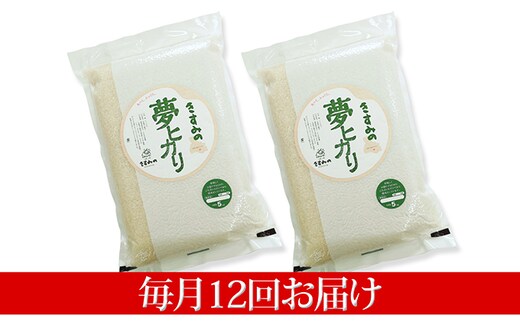 
										
										定期便 米 令和6年産 新米 きすみの夢ヒカリ(真空パック)10kg【毎月12回お届け】[ お米 おこめ コメ 白米 ]
									