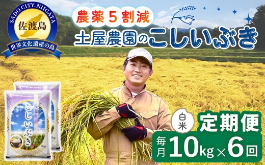【6か月定期便 こしいぶき】佐渡島産こしいぶき 白米 合計60kg（10kg（5kg×2袋）×全6回）令和8年産 新米 農薬・化学肥料5割減 | 新潟県産こしいぶき 新潟産こしいぶき 佐渡産こしいぶき こしいぶき コシイブキ お米 米 白米 精米 ブランド米 おこめ コメ 10キロ にいがた さど 新潟県 佐渡市
