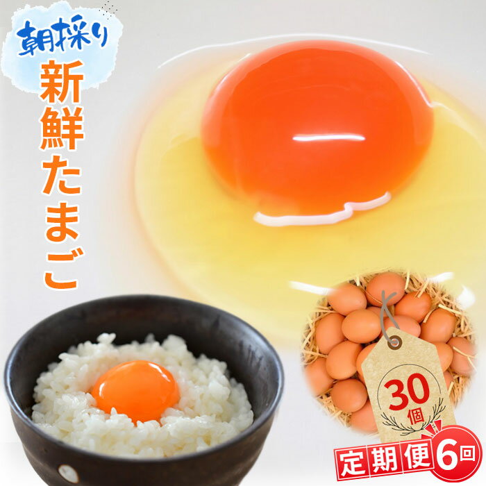 【ふるさと納税】 【毎月定期便6回】美味しい産みたて朝採り新鮮たまご（手集卵）ミネラルエッグ30個×6回 ／ 玉子 新鮮卵 卵かけご飯 玉子焼き 産みたて 養鶏場直送 赤卵 薬品無添加 コラーゲン ミネラル ビタミン 安心安全 送料無料 千葉県 No.091