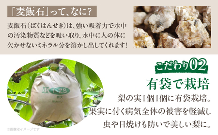 先行予約≪期間限定≫まるみ観光果樹園の『新高梨』(約4kg) なし 果物 フルーツ 天然 ミネラル栽培_T036-002