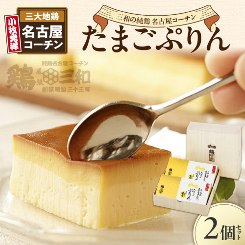 三和の純鶏名古屋コーチンたまごぷりん2個セット[052S03]
