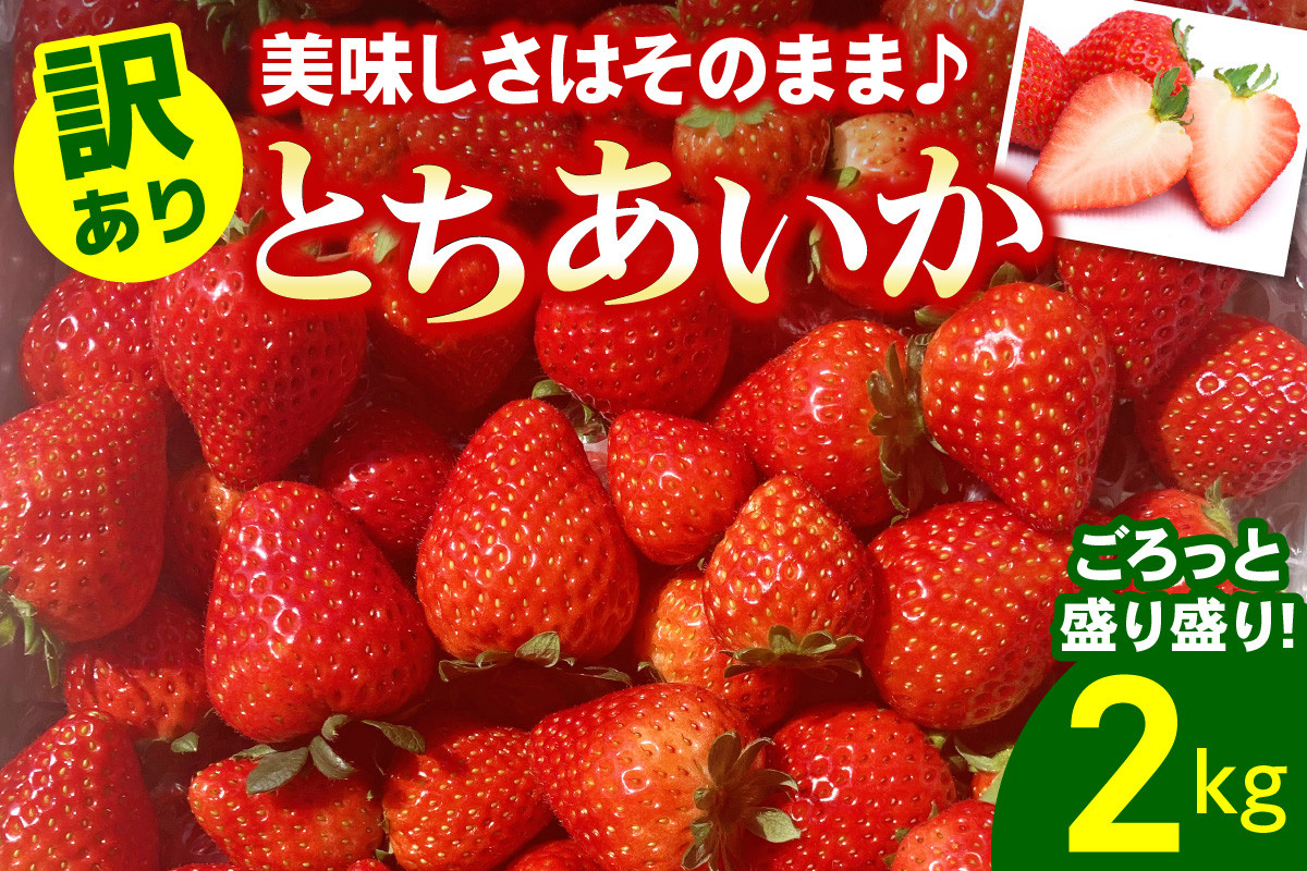 
            [訳あり] ごろっと盛り盛りいちご『とちあいか』2000g｜大容量 いちご イチゴ 苺 とちあいか フルーツ 果物 スイーツ 産地直送 栃木県産 矢板市産 [0539]
          