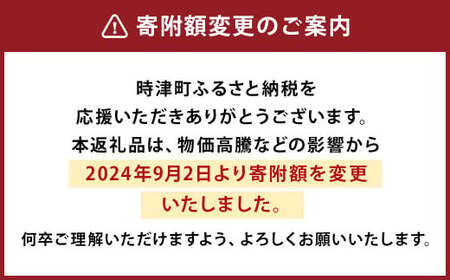 【11月発送】人気 定番 プリン 6種 2箱 セット 80g×12個 詰め合わせ