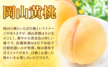 桃 【先行予約】岡山黄桃 約750g《2025年8月下旬-9月下旬頃出荷》 黄桃黄桃黄桃黄桃
