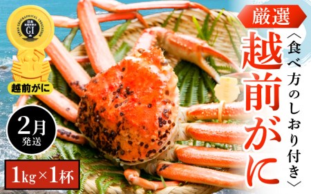 越前がに本場の越前町からお届け！越前がに浜茹で 大サイズ（生で1kg以上）×1杯【2月発送】 [e14-x007_02] 越前町 雄 ズワイガニ ボイル 冷蔵 越前がに 越前ガニ 越前かに 越前カニ