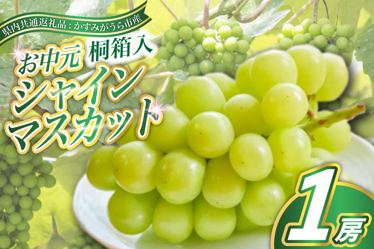 
            ＜8月より順次発送予定＞お中元シャインマスカット桐箱入り1房(県内共通返礼品:かすみがうら市産) (BR109)
          