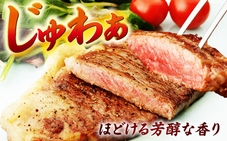 牛肉ブロック 1kg NAC014 牛肉