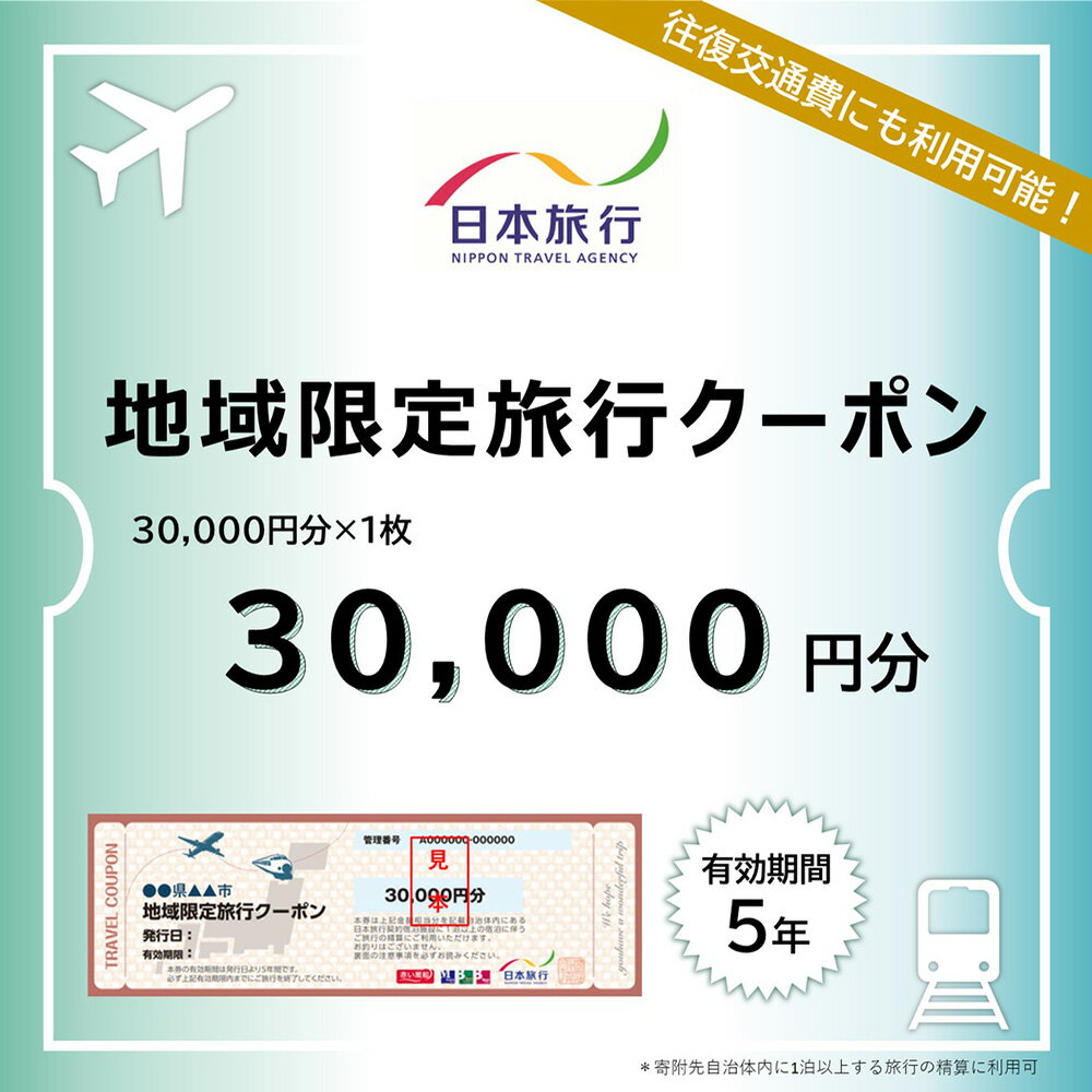 【ふるさと納税】北海道ニセコ町　日本旅行　地域限定旅行クーポン30,000円分【46002】